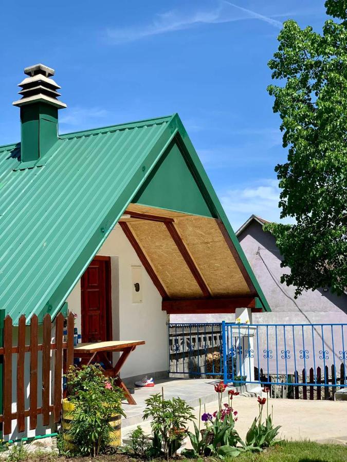 Maglic Villa Pluzine Luaran gambar