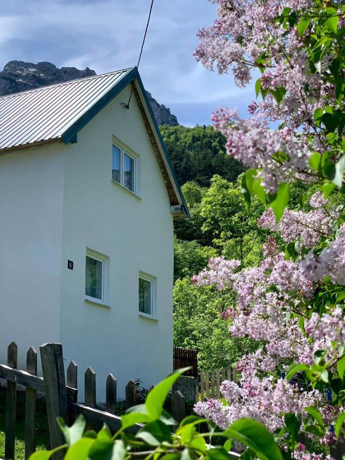 Maglic Villa Pluzine Luaran gambar