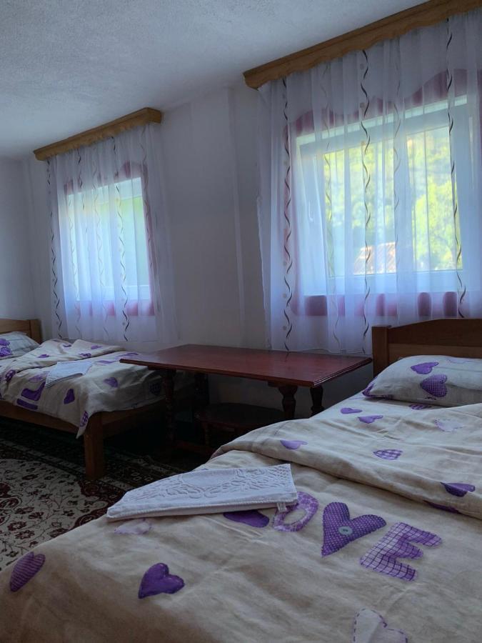 Maglic Villa Pluzine Luaran gambar